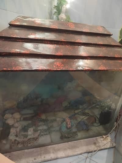 Fish Aquarium