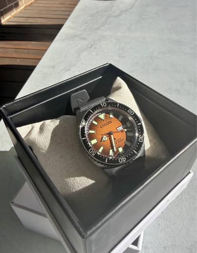 Citizen Watch