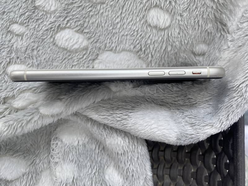 Apple iPhone 11 2