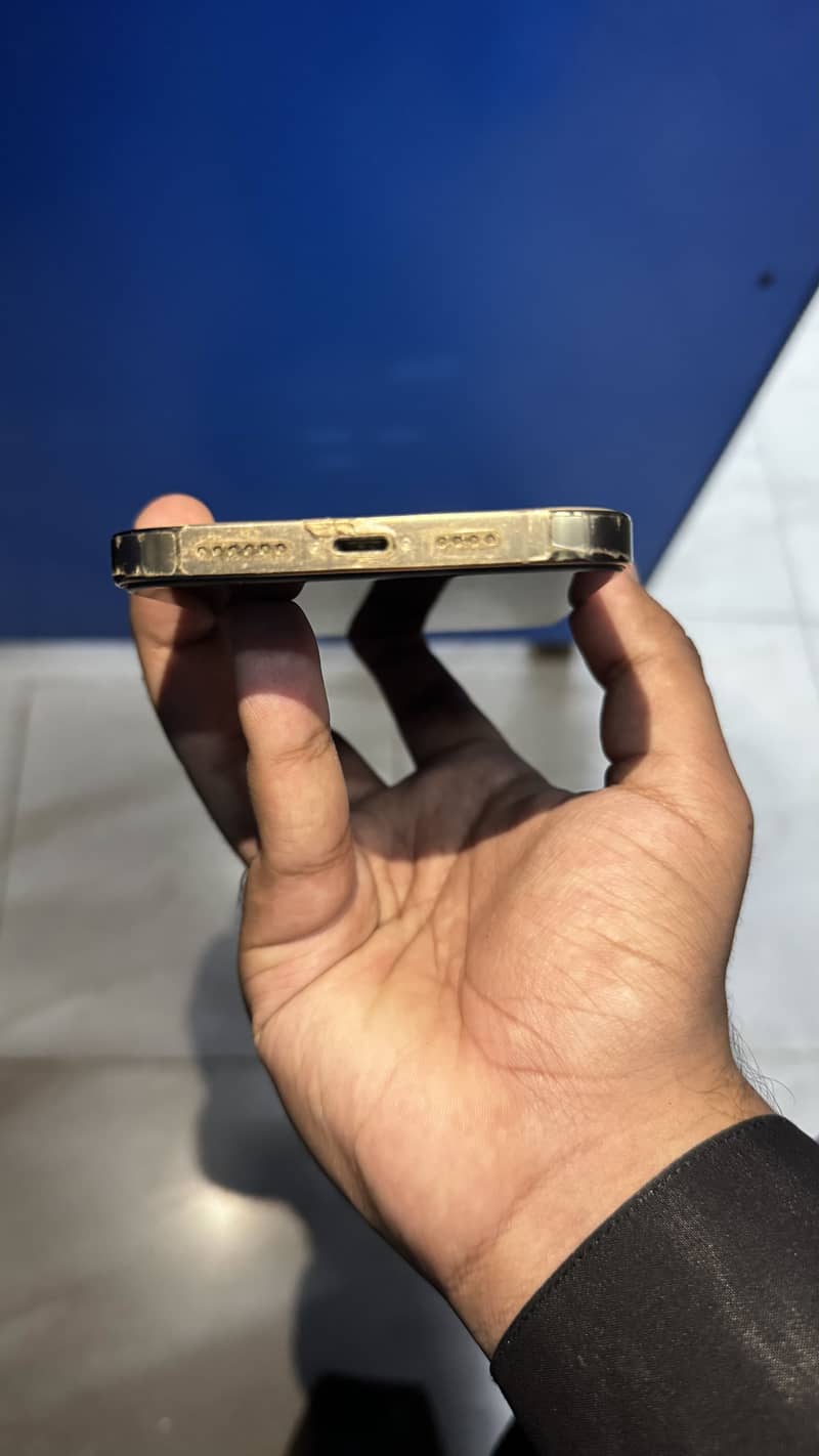 Apple iPhone 13 Pro Max 2