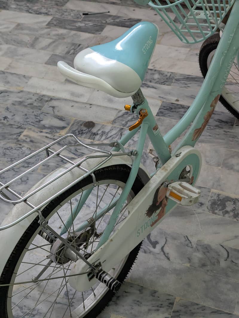 cycle 20 inch 1