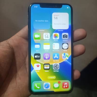 Apple iPhone X