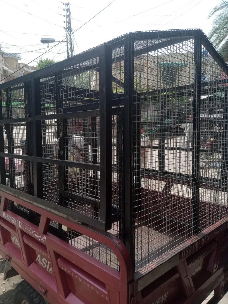 cages , pet house , winter rain shelter , dog cat house , channels , — photo 4