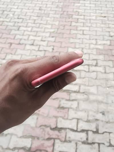 iphone 11 pta approved