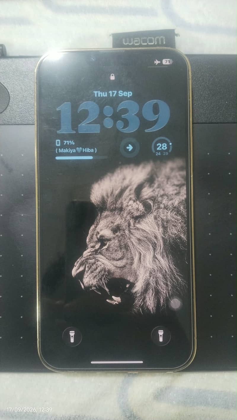 Apple iPhone 13 Pro Max 1