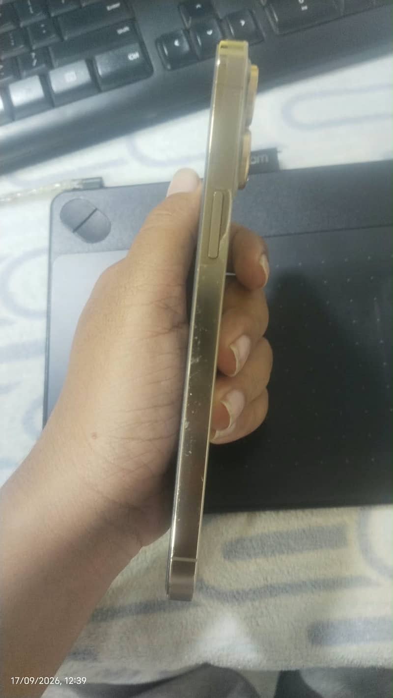 Apple iPhone 13 Pro Max 2