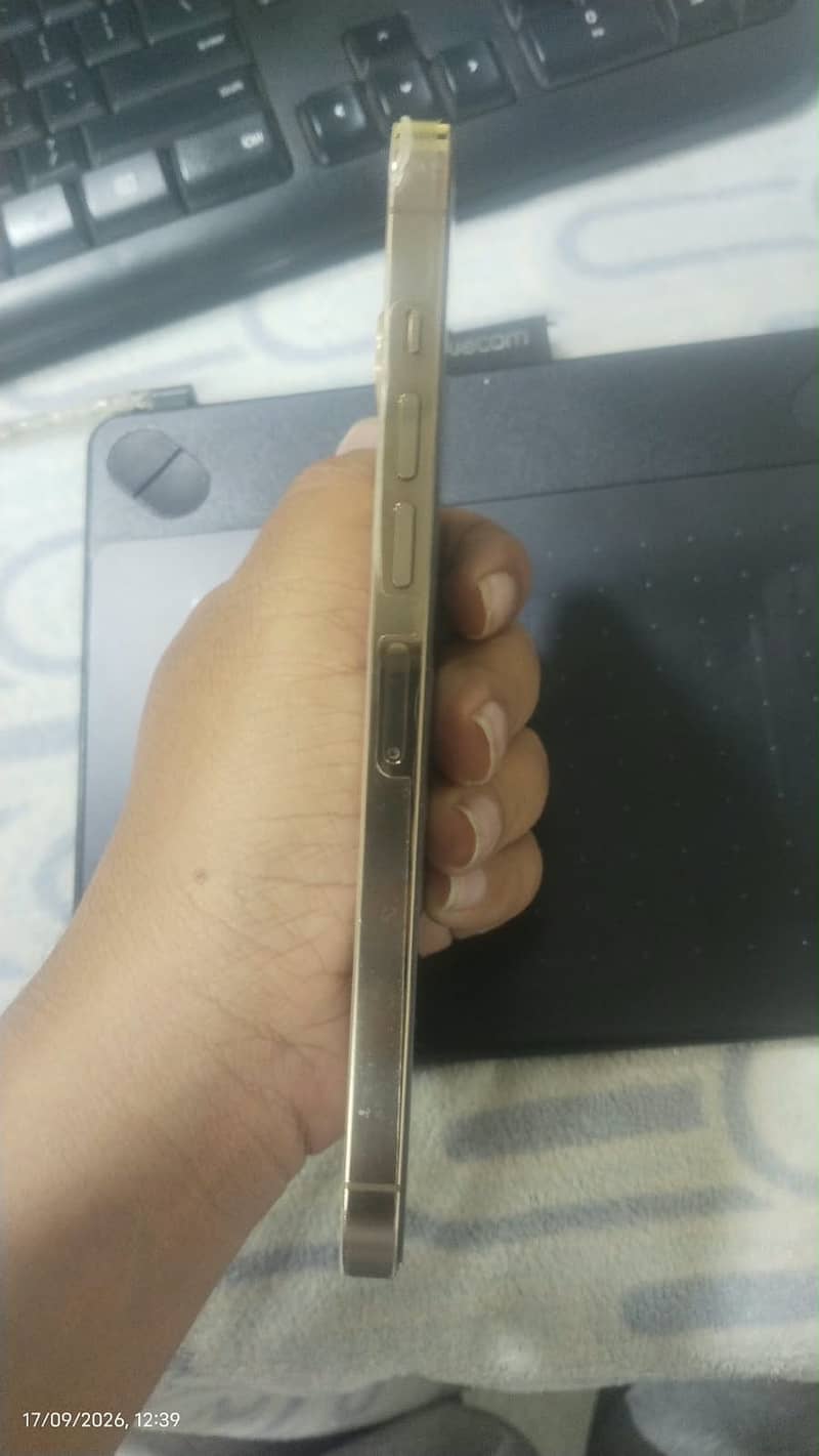Apple iPhone 13 Pro Max 5