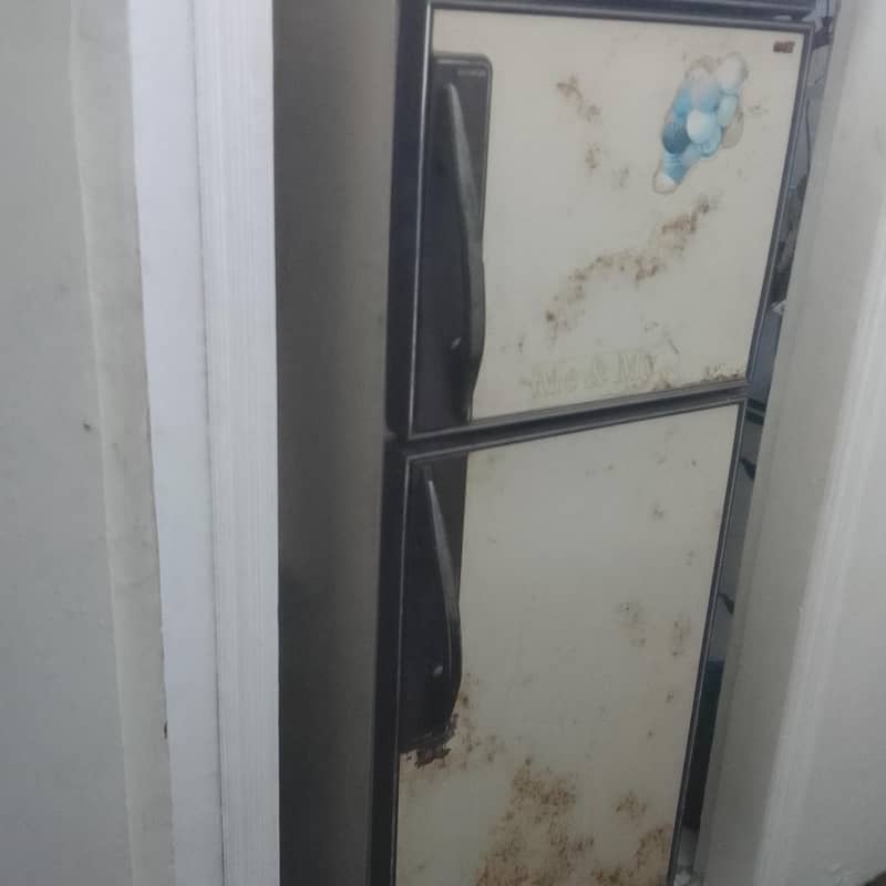 refrigerator 1