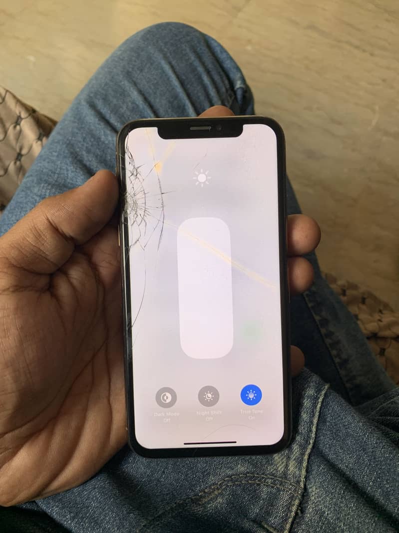 Apple iPhone XS 12
