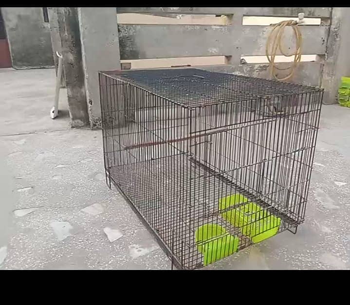 Cages 1