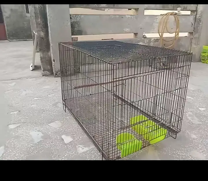 Cages — photo 2