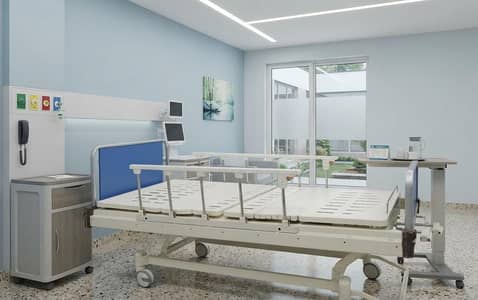 Hospital Bed Paramount Japan Manual – 3 Function |Imported Patient Bed