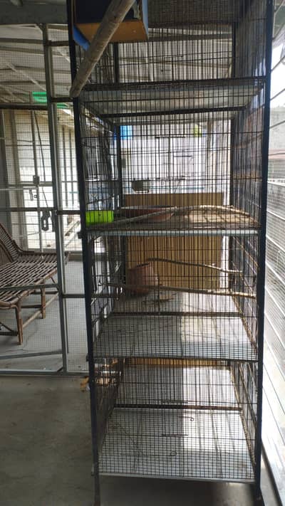 Cage for breading