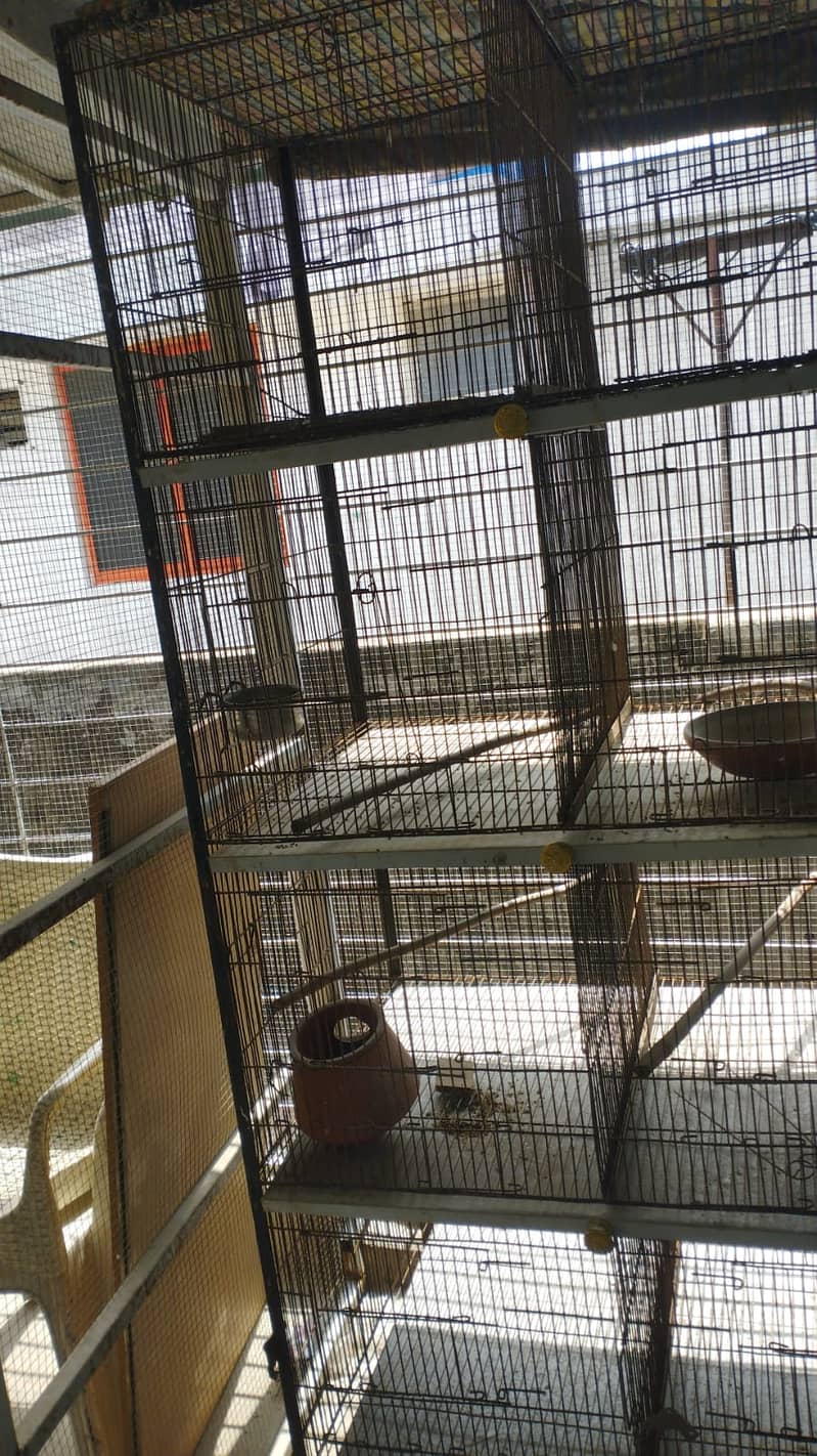 Cage for breading 1