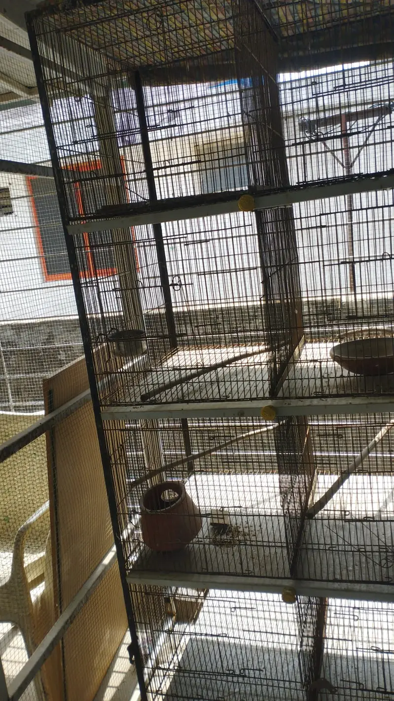 Cage for breading — photo 2