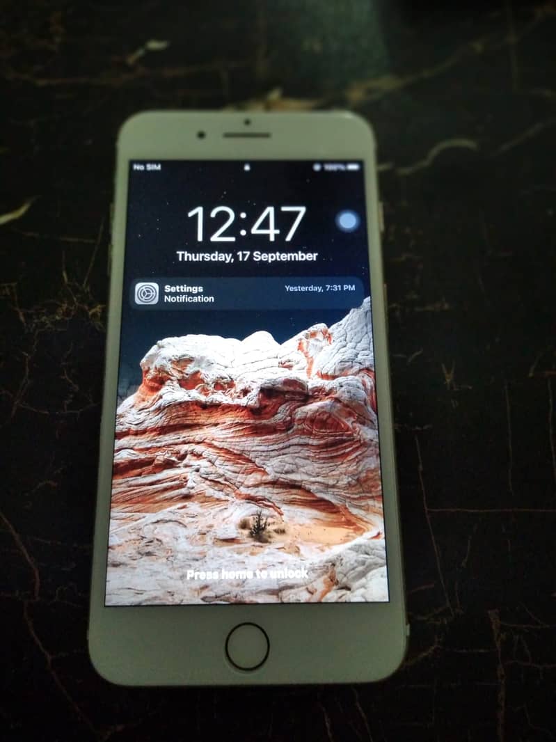 Apple iPhone 7 Plus 1