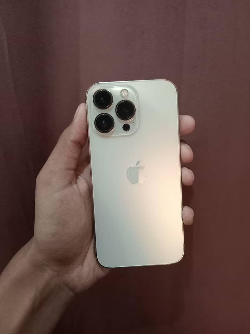 Apple iPhone 13 Pro 0
