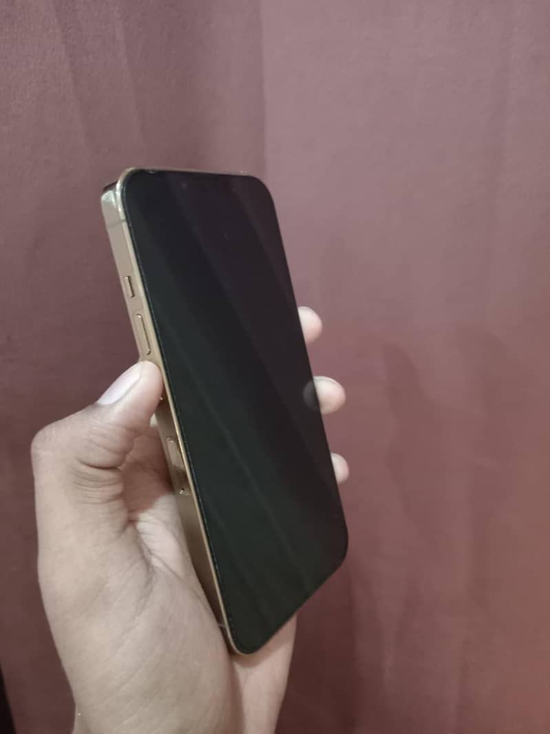 Apple iPhone 13 Pro 1
