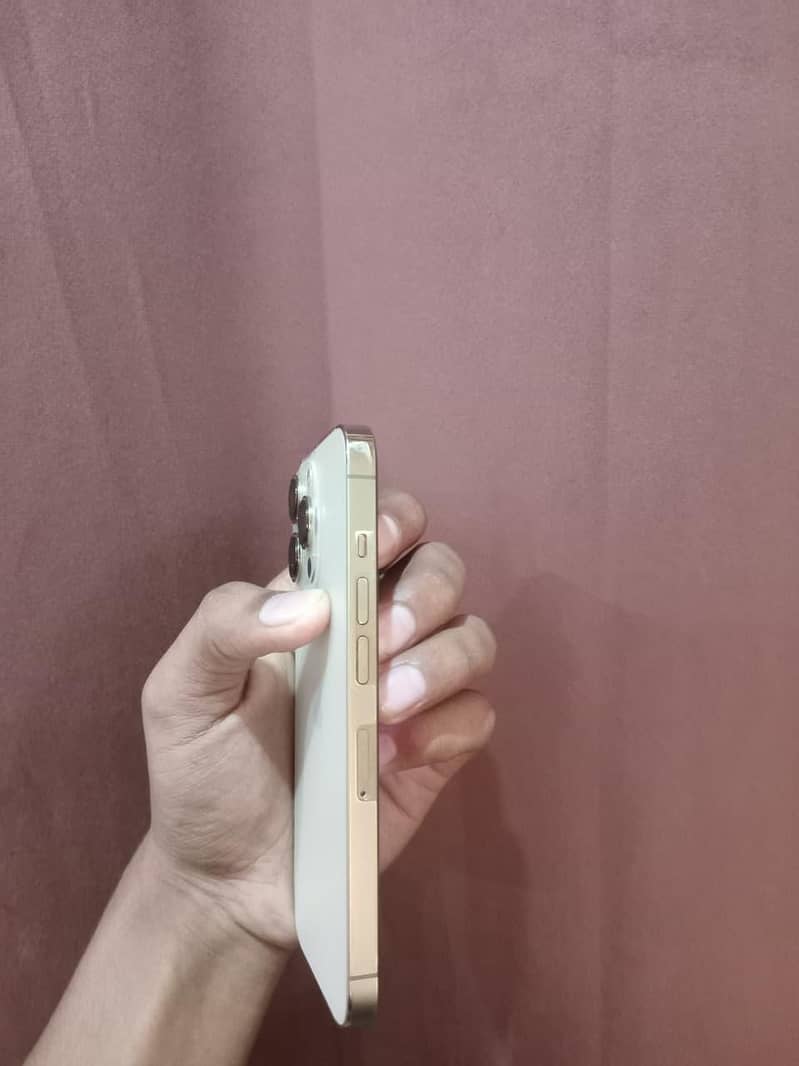Apple iPhone 13 Pro 4