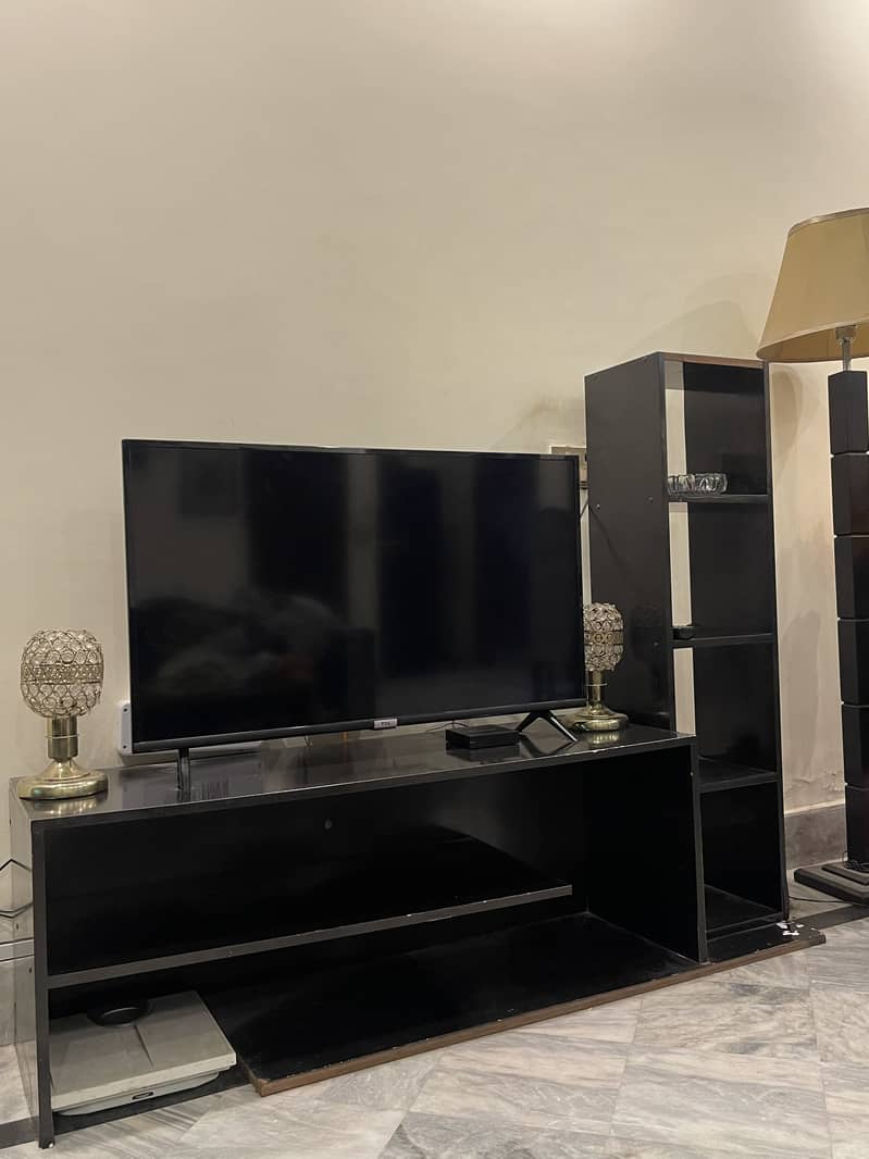 LCD TV Rack 1