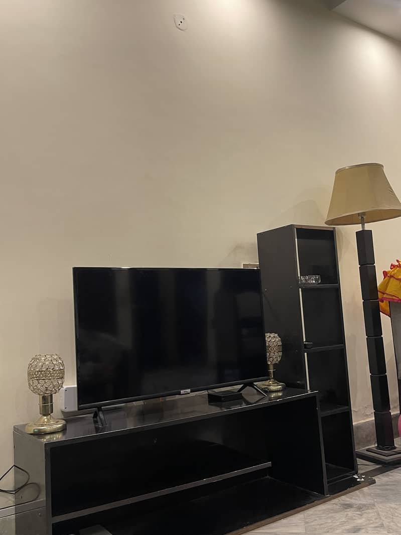 LCD TV Rack 2