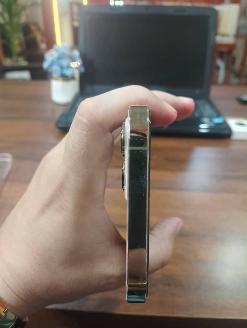 Apple iPhone 12 Pro Max 1