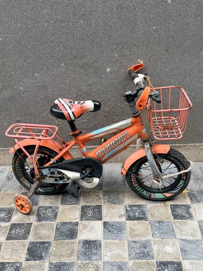 perfect cycle for kids