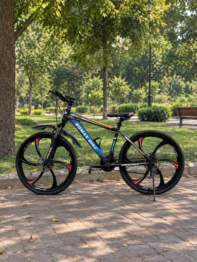 Roman bike