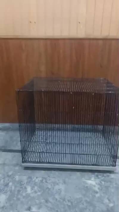 Cage Big birds