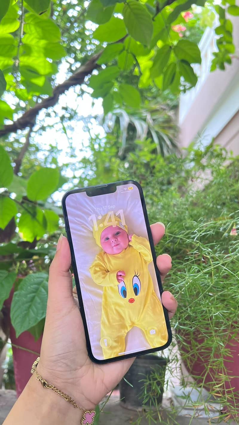 Apple iPhone 13 0
