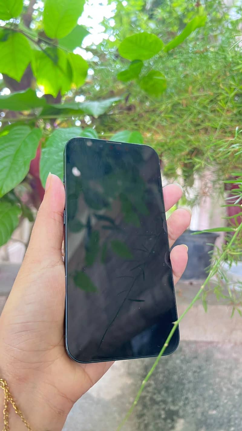 Apple iPhone 13 1