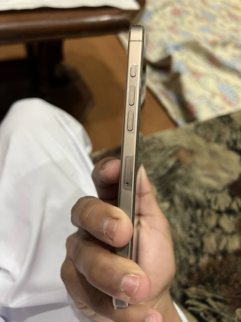 Apple iPhone 16 Pro Max 1