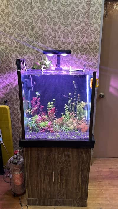 Fish Aquarium with back Sump