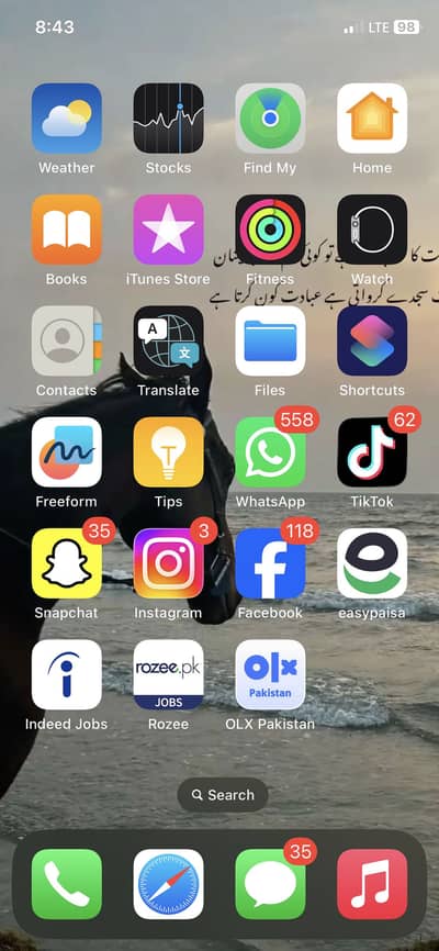 Apple iPhone X