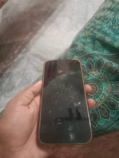 Xiaomi 15