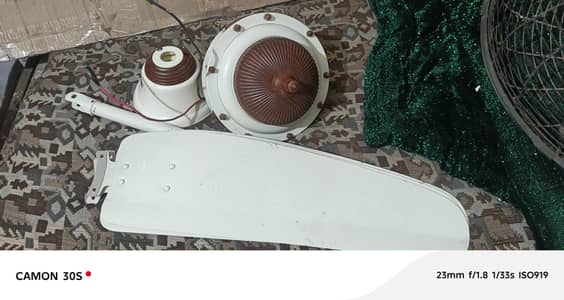 Royal Ceiling Fan