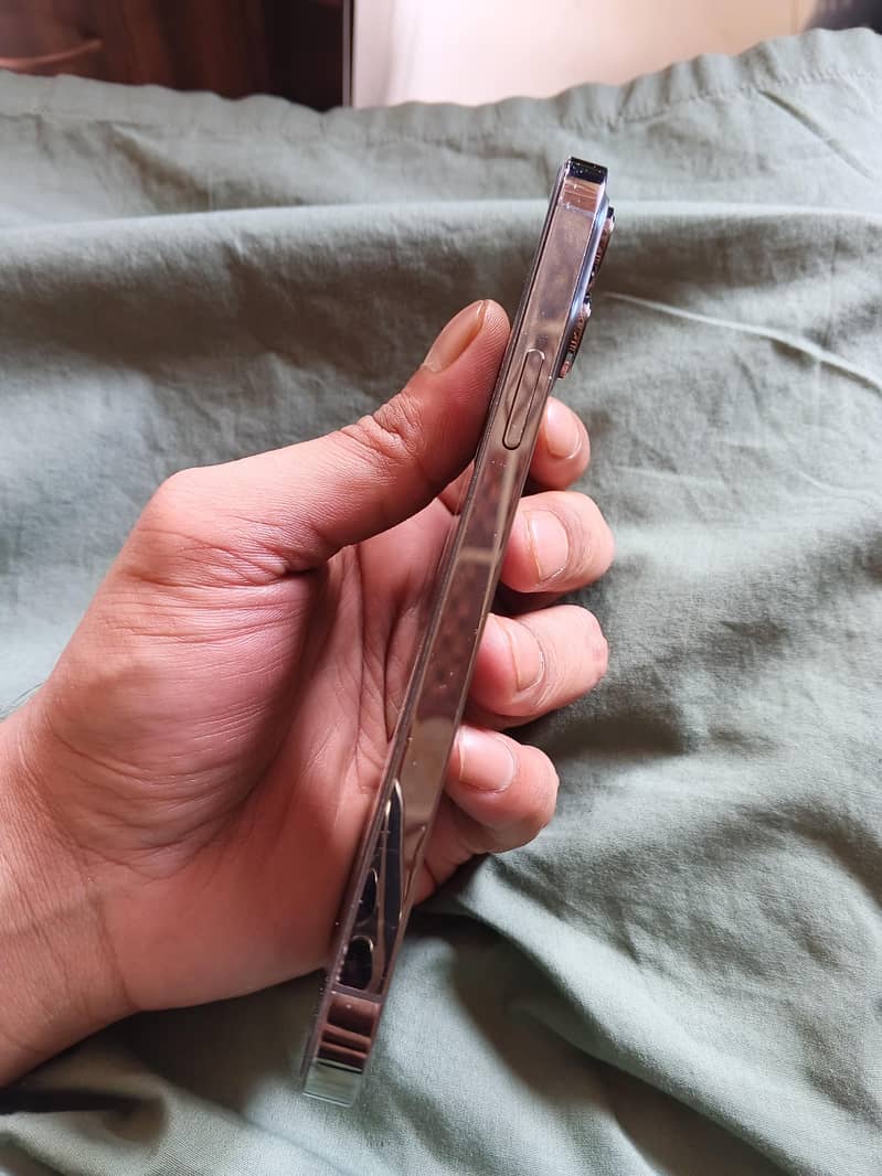 Apple iPhone 13 Pro Max 1