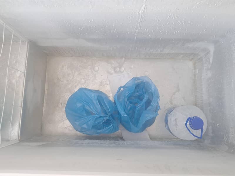 deep freezer 2