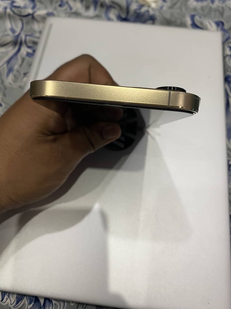 Apple iPhone 12 Pro Max 1