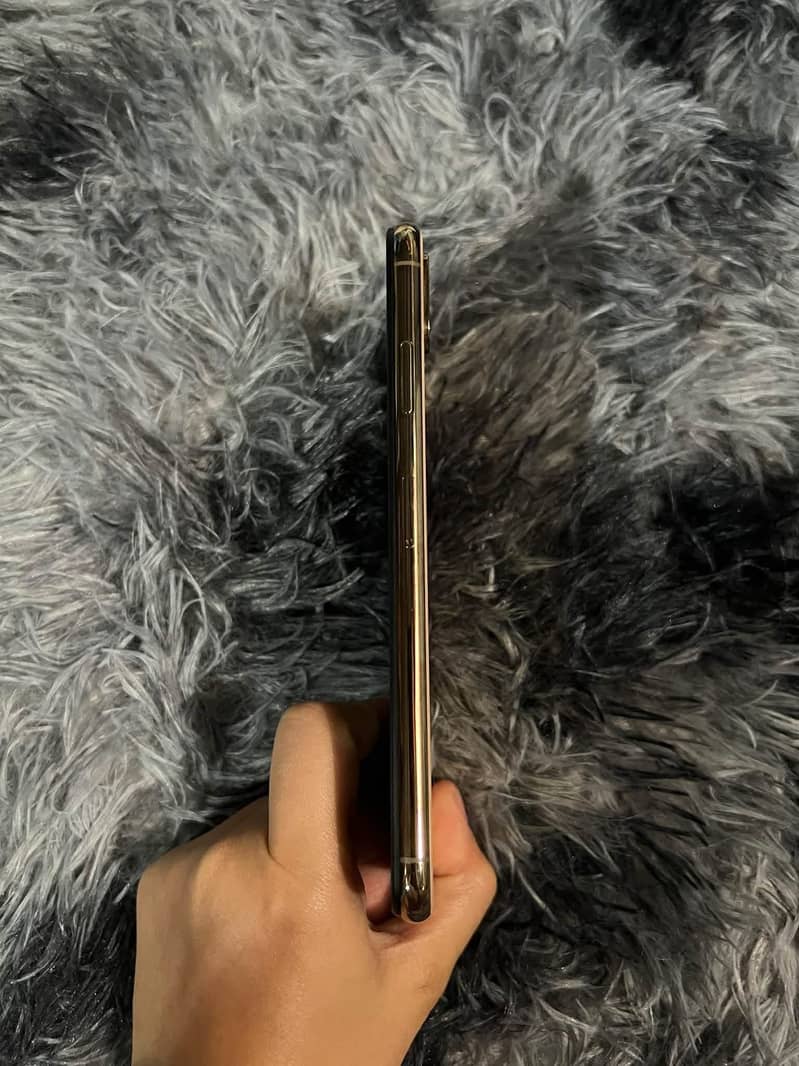 Apple iPhone XS Max 2
