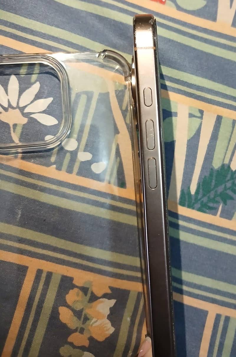 Apple iPhone 16 Pro Max 1