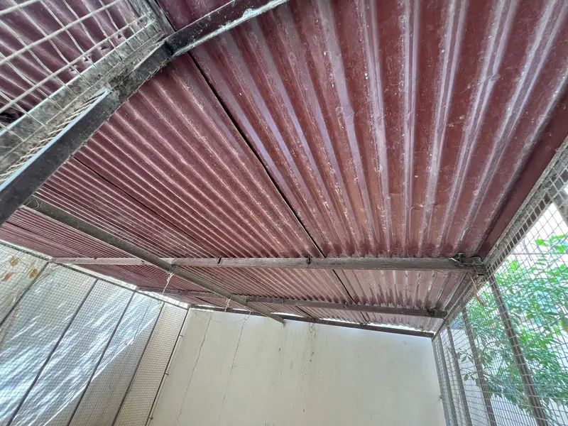 Cage for sale with roof — photo 4