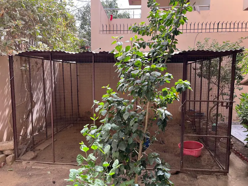 Cage for sale with roof — photo 5