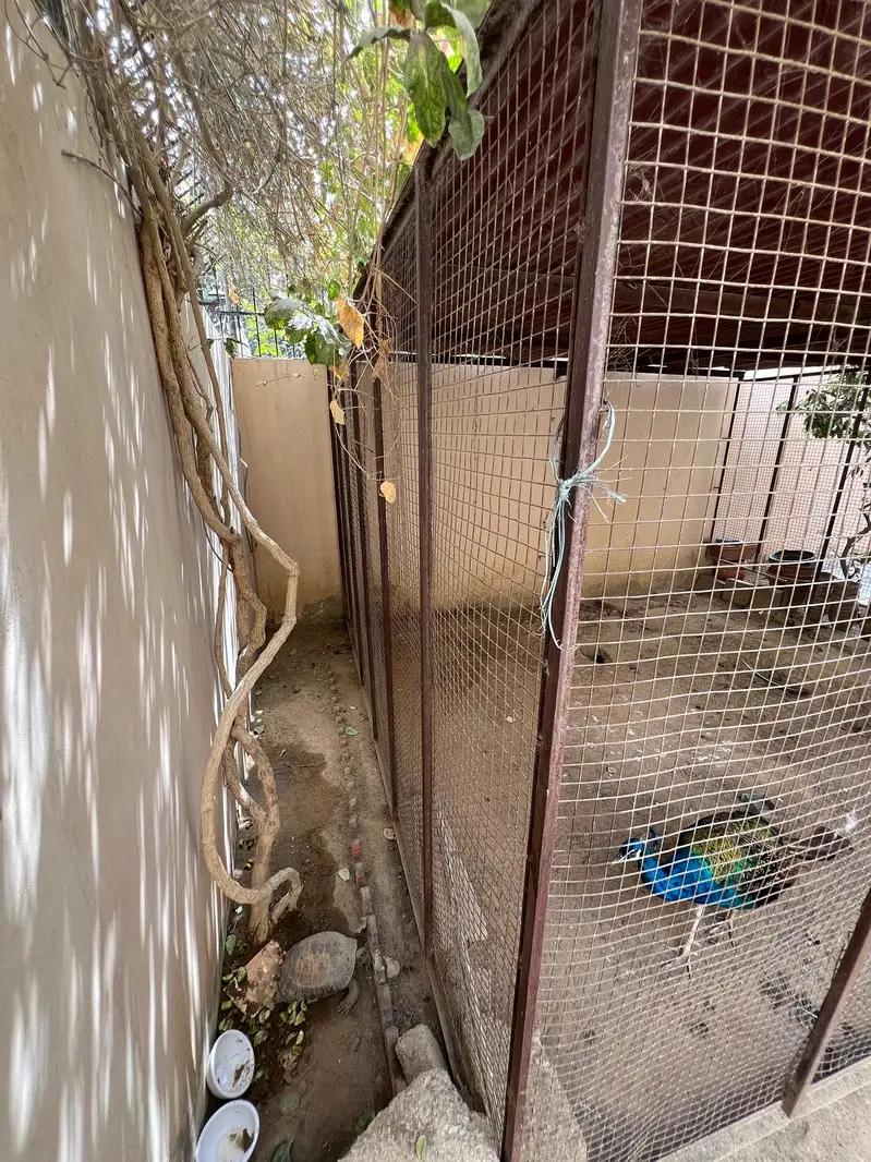 Cage for sale with roof — photo 7