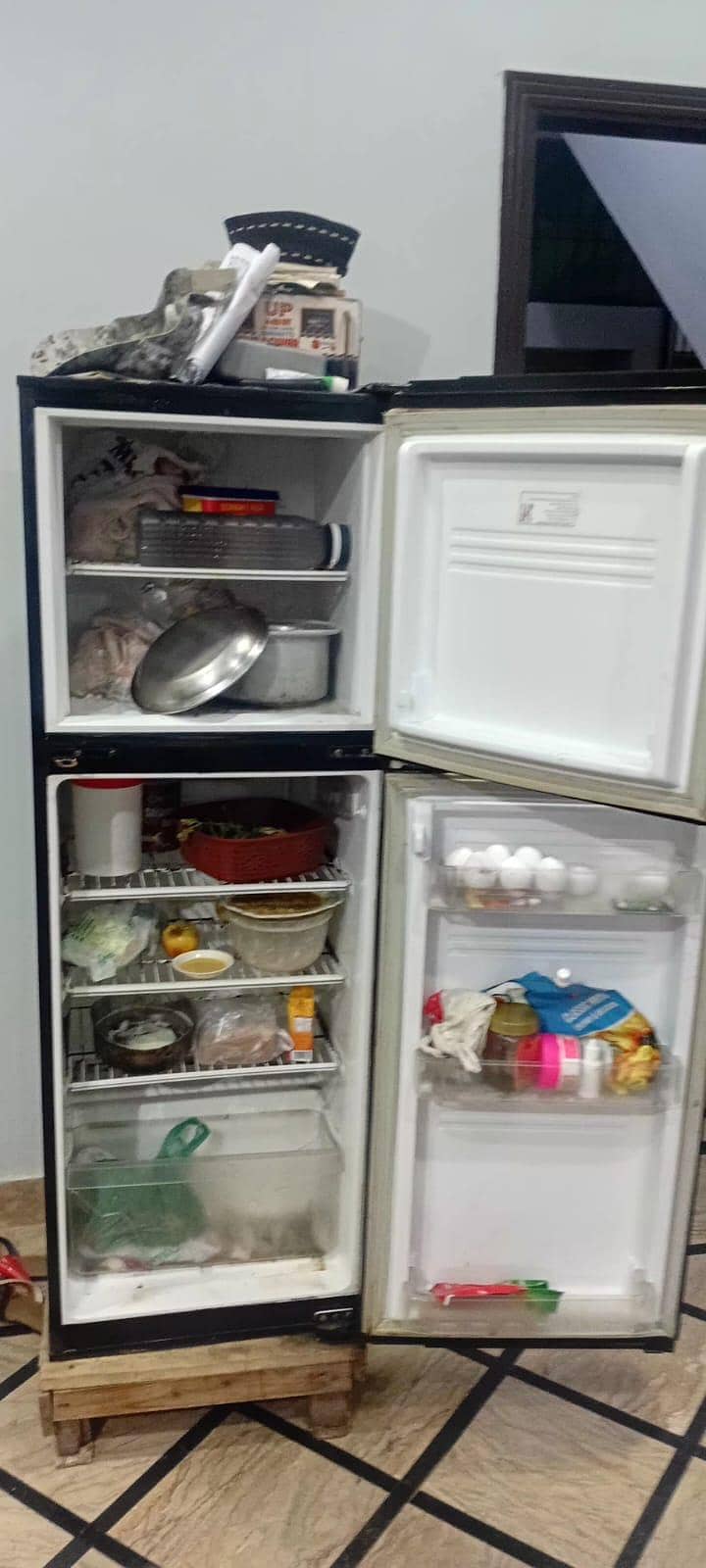 Pel Fridge 0