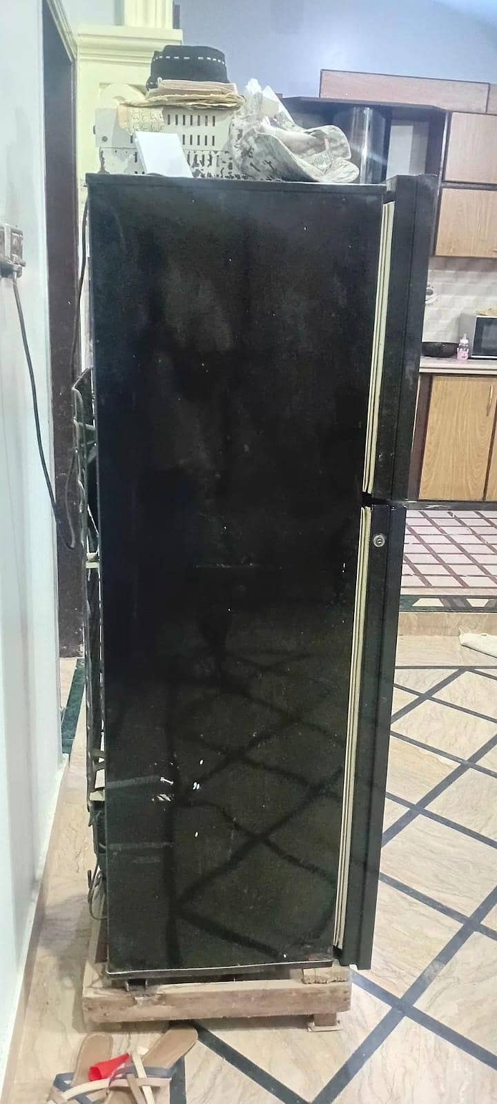 Pel Fridge 2
