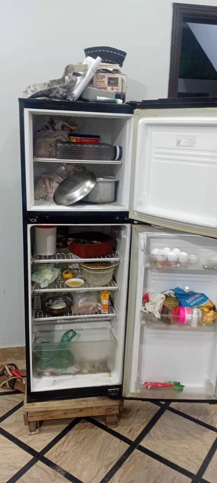 Pel Fridge 3