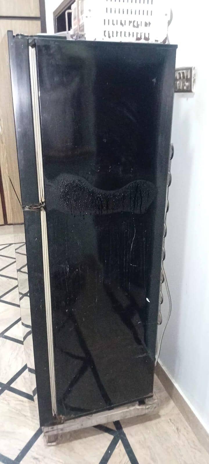 Pel Fridge 5