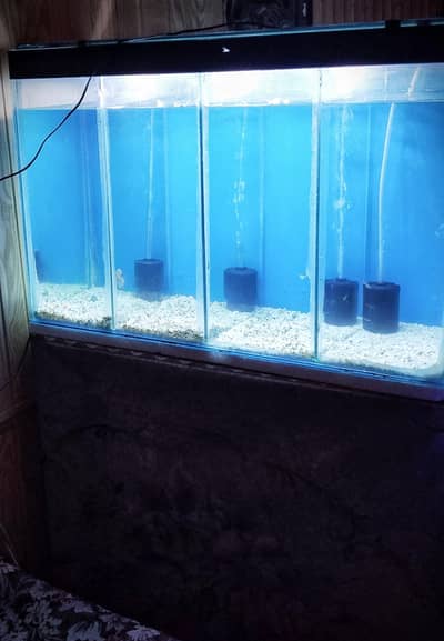 4 portions aquarium available watsapp 03288066987