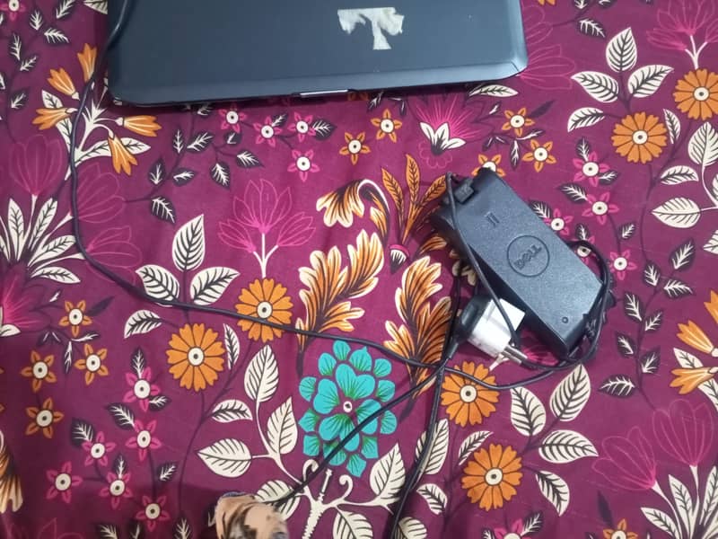 dell laptop 1